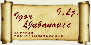 Igor LJubanović vizit kartica